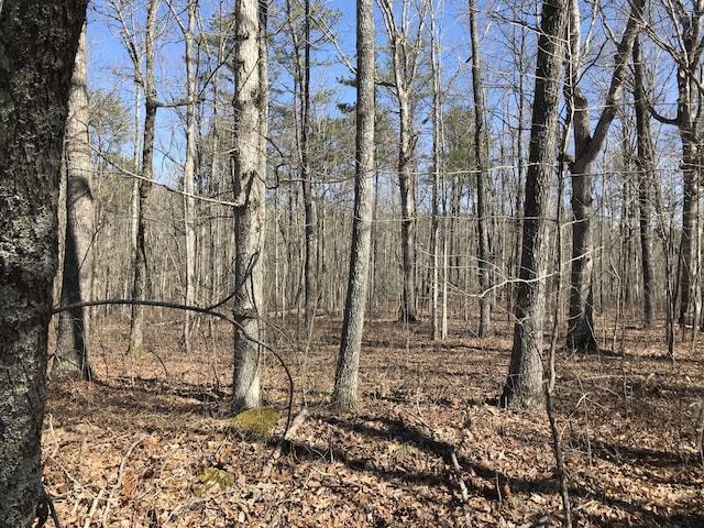3 Deerhead Rd Unit 3, Dunlap, TN 37327 - photo 3