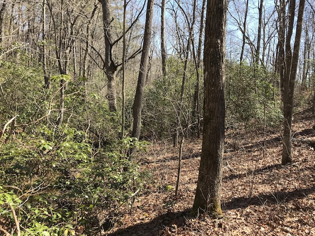 3 Deerhead Rd Unit 3, Dunlap, TN 37327 - photo 4
