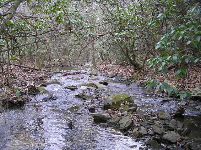 3 Deerhead Rd Unit 3, Dunlap, TN 37327 - photo 5
