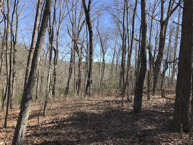 3 Deerhead Rd Unit 3, Dunlap, TN 37327 - photo 6