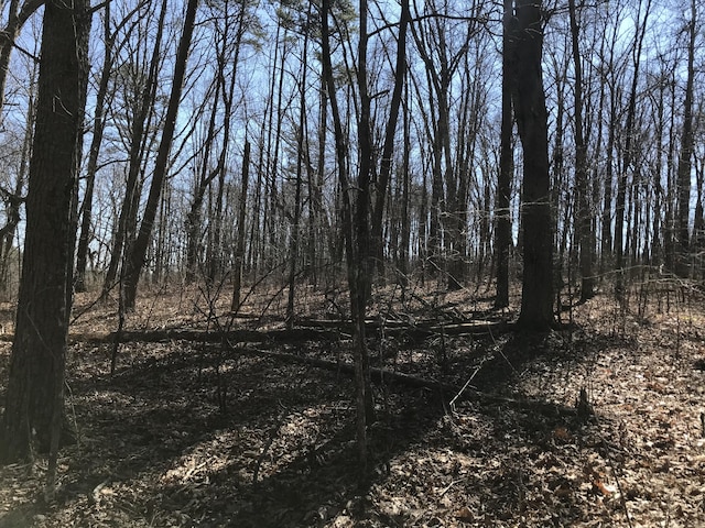 3 Deerhead Rd Unit 3, Dunlap, TN 37327 - photo 8