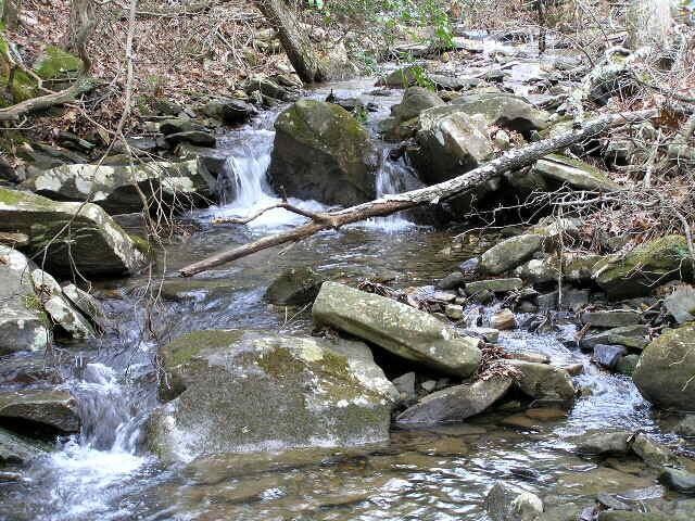 3 Deerhead Rd Unit 3, Dunlap, TN 37327 - photo 10