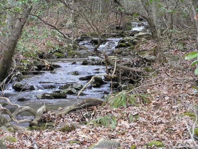 3 Deerhead Rd Unit 3, Dunlap, TN 37327 - photo 11