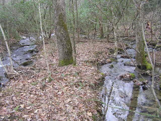 3 Deerhead Rd Unit 3, Dunlap, TN 37327 - photo 15