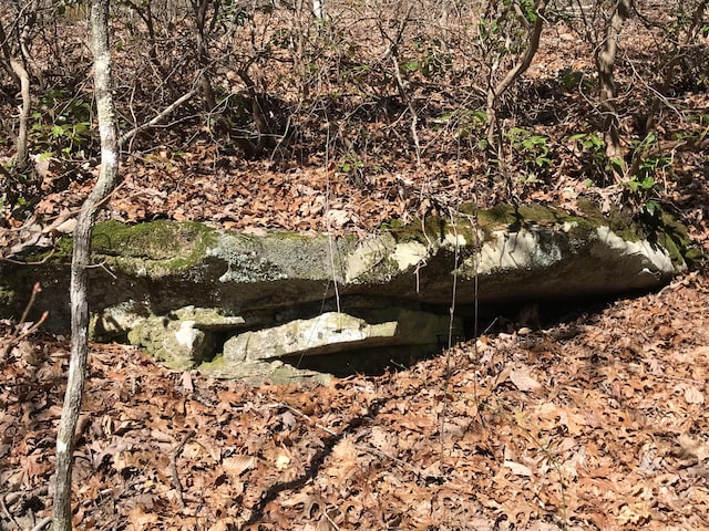 3 Deerhead Rd Unit 3, Dunlap, TN 37327 - photo 19