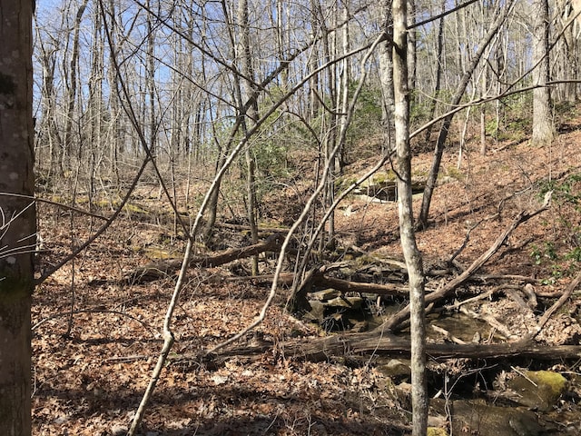 3 Deerhead Rd Unit 3, Dunlap, TN 37327 - photo 20