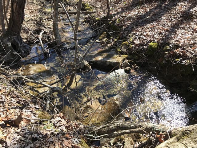3 Deerhead Rd Unit 3, Dunlap, TN 37327 - photo 21