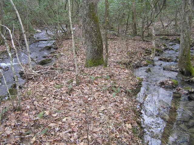 3 Deerhead Rd Unit 3, Dunlap, TN 37327 - photo 22