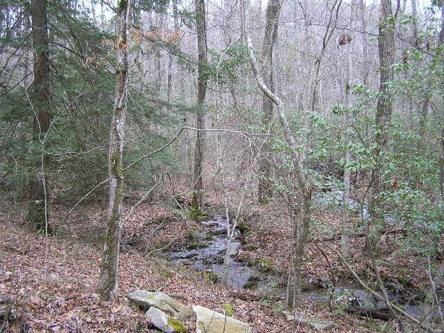 3 Deerhead Rd Unit 3, Dunlap, TN 37327 - photo 23