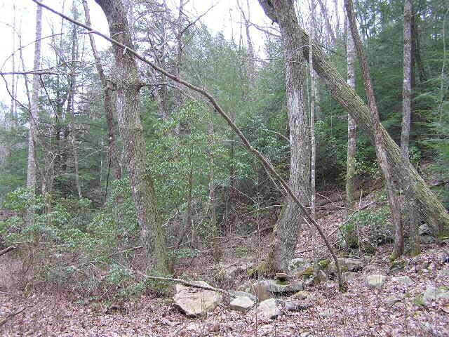 3 Deerhead Rd Unit 3, Dunlap, TN 37327 - photo 24