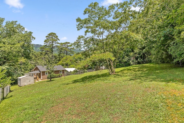 702 Runyan Dr, Chattanooga, TN 37405 - view of yard featuring a storage shed and a forest view