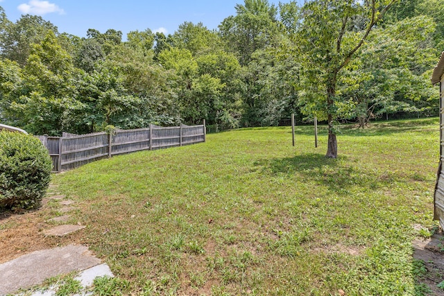 702 Runyan Dr, Chattanooga, TN 37405 - view of yard