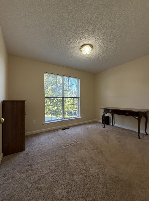 10164 Fielding Rd, Ooltewah, TN 37363 - photo 34