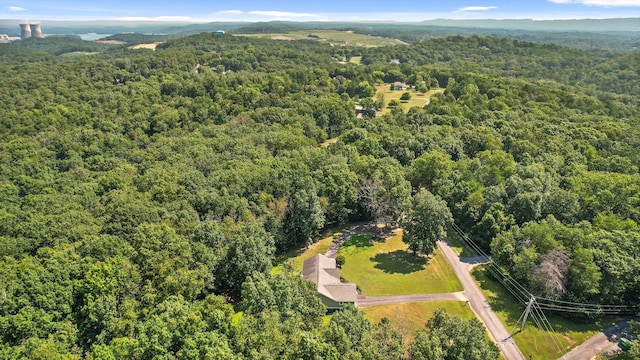 6233 Brenda Ct, Harrison, TN 37341 - bird's eye view of a heavily wooded area