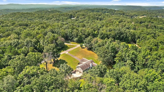 6233 Brenda Ct, Harrison, TN 37341 - drone / aerial view of a forest