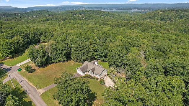 6233 Brenda Ct, Harrison, TN 37341 - drone / aerial view of a forest