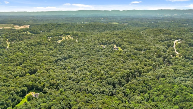 6233 Brenda Ct, Harrison, TN 37341 - aerial view of a forest