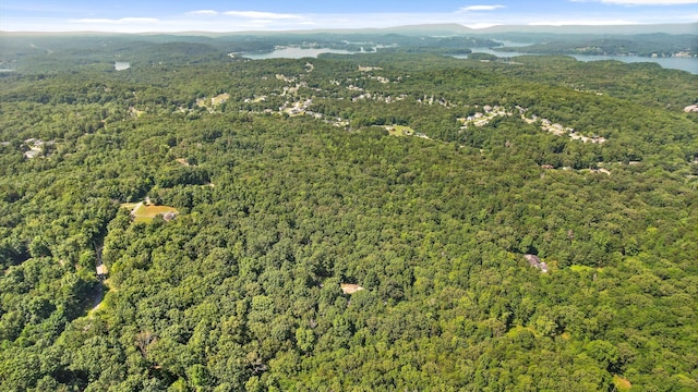6233 Brenda Ct, Harrison, TN 37341 - view of property location with a heavily wooded area