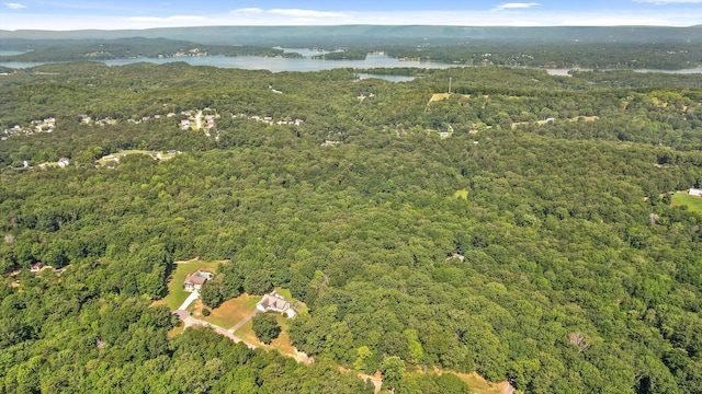 6233 Brenda Ct, Harrison, TN 37341 - aerial overview of property's location featuring a forest and a water and mountain view
