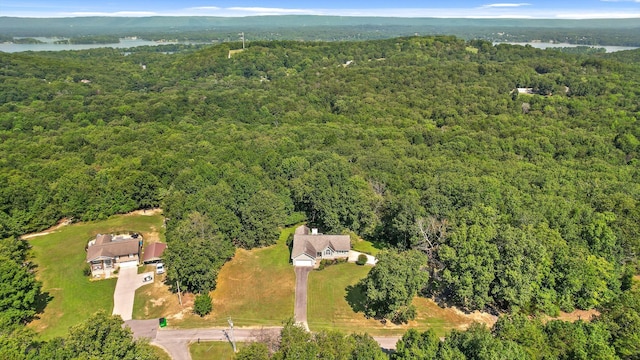 6233 Brenda Ct, Harrison, TN 37341 - aerial overview of property's location featuring a forest and a nearby body of water