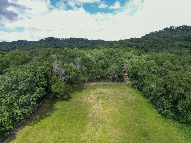 2292 Mckaig Rd, Trenton, GA 30752 - photo 46
