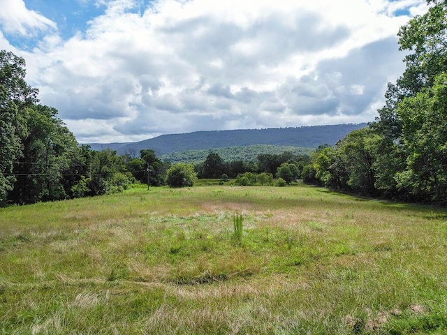 2292 Mckaig Rd, Trenton, GA 30752 - photo 49