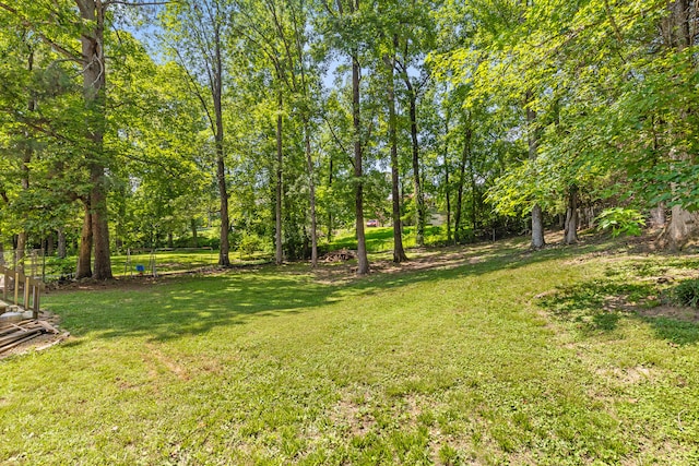 6117 Pythian Rd, Harrison, TN 37341 - photo 7