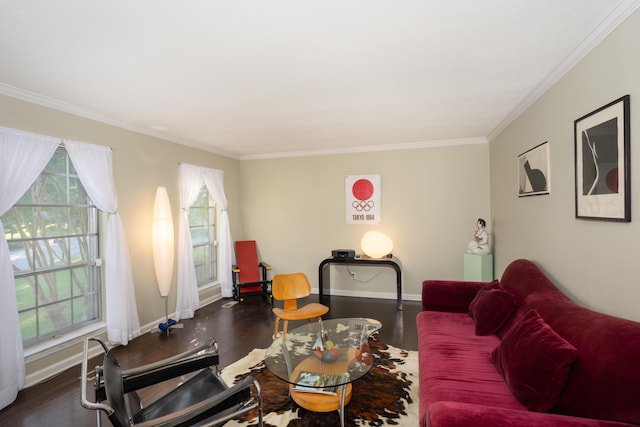 100 Pine Cone Ln, Chattanooga, TN 37415 - living area with crown molding, plenty of natural light, and wood finished floors