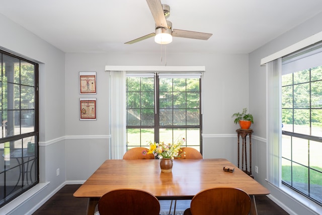 100 Pine Cone Ln, Chattanooga, TN 37415 - dining area featuring dark wood-style flooring, healthy amount of natural light, and ceiling fan