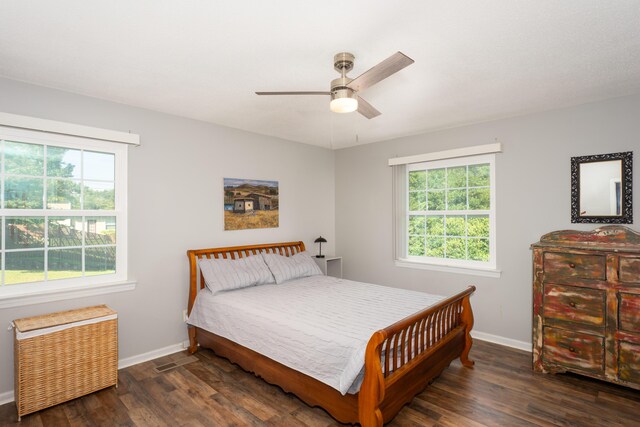 100 Pine Cone Ln, Chattanooga, TN 37415 - bedroom with radiator, multiple windows, wood finished floors, and a ceiling fan