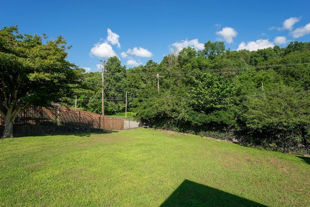 100 Pine Cone Ln, Chattanooga, TN 37415 - view of yard