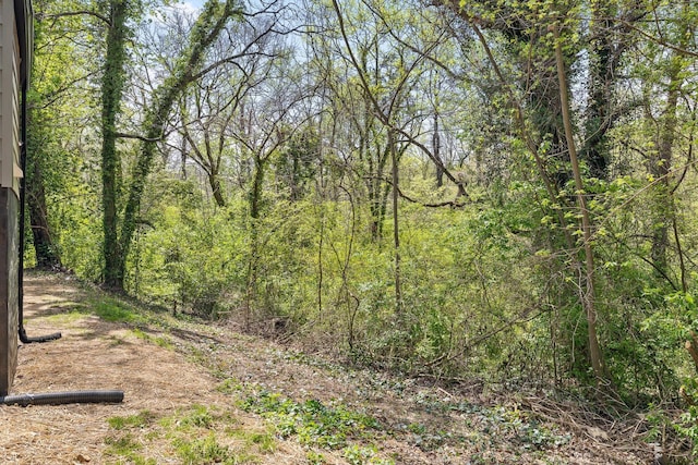 3002 Peggy Ln, Chattanooga, TN 37404 - view of wooded area