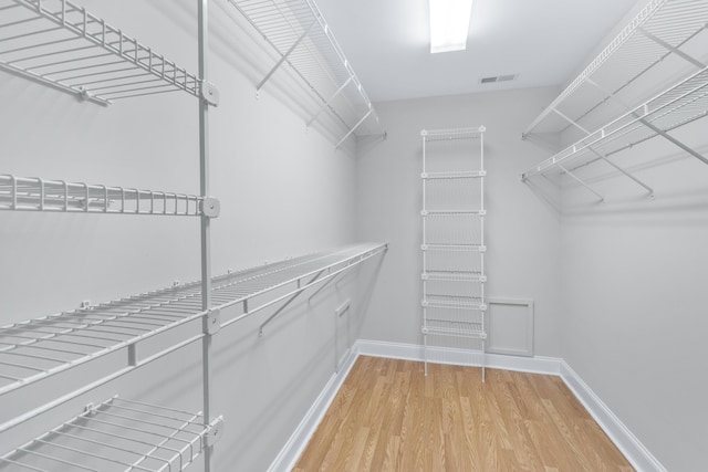 3609 Brass Lantern Way, Chattanooga, TN 37415 - spacious closet with light wood-style floors