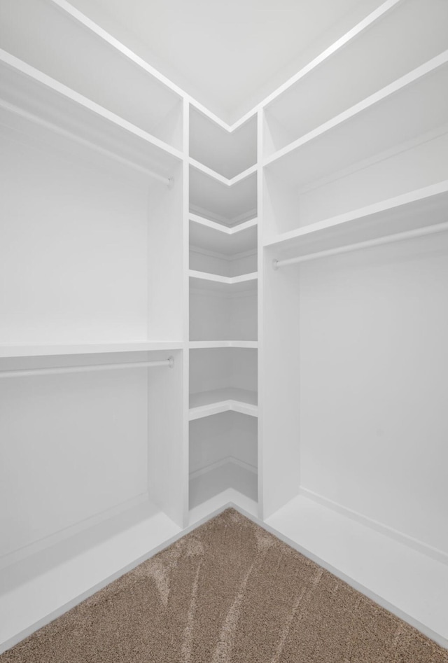 8340 Snowdrop Way, Ooltewah, TN 37363 - walk in closet with carpet flooring