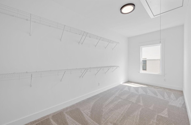 8340 Snowdrop Way, Ooltewah, TN 37363 - spacious closet with attic access and carpet floors