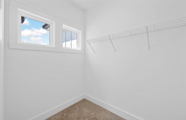 8340 Snowdrop Way, Ooltewah, TN 37363 - spacious closet featuring carpet floors