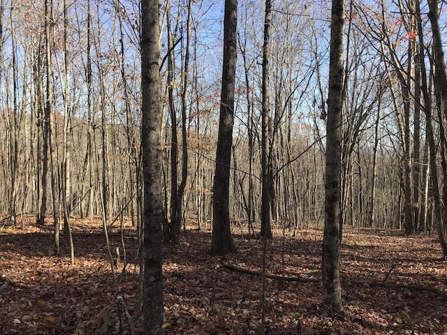 5 Hobbstown Rd, Dunlap, TN 37327 - photo 3