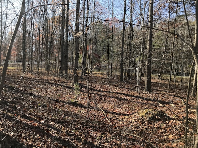 5 Hobbstown Rd, Dunlap, TN 37327 - photo 5