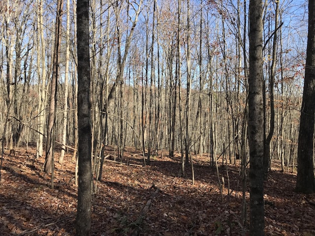 5 Hobbstown Rd, Dunlap, TN 37327 - photo 8