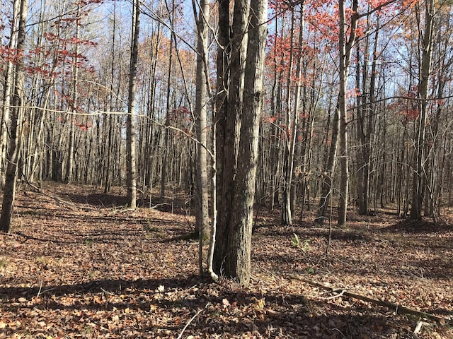 5 Hobbstown Rd, Dunlap, TN 37327 - photo 19