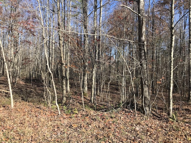 5 Hobbstown Rd, Dunlap, TN 37327 - photo 22