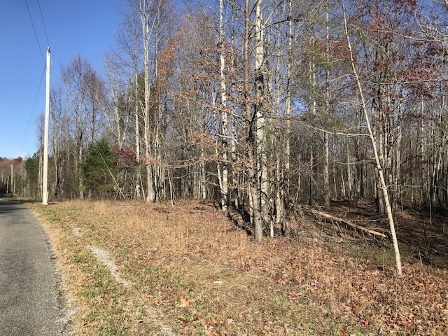 5 Hobbstown Rd, Dunlap, TN 37327 - photo 23