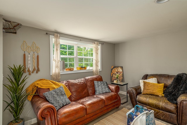 848 Skyline Park Dr, Signal Mountain, TN 37377 - living area featuring wood finished floors