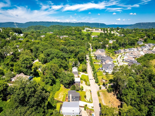 834 Dartmouth St, Chattanooga, TN 37405 - aerial view of residential area with a mountainous background and a heavily wooded area
