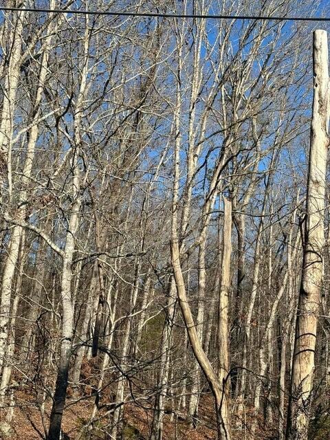 LOT2 Lower River Rd NW, Charleston, TN 37310 - photo 2