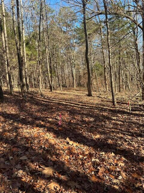 LOT2 Lower River Rd NW, Charleston, TN 37310 - photo 1