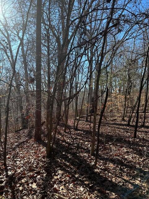 LOT2 Lower River Rd NW, Charleston, TN 37310 - photo 4