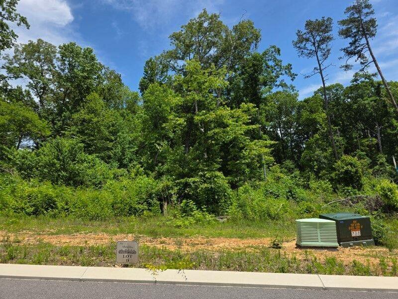 132 County Rd Unit 155, Riceville, TN 37370 - photo 1