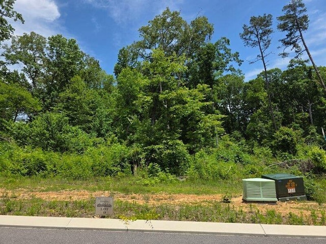 132 County Rd Unit 155, Riceville, TN 37370 - photo 1