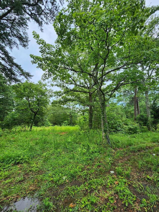 381 Patton School Rd Unit 3, South Pittsburg, TN 37380 - photo 8